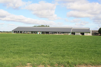 Nieuwbouw ligboxenstal met carrousel